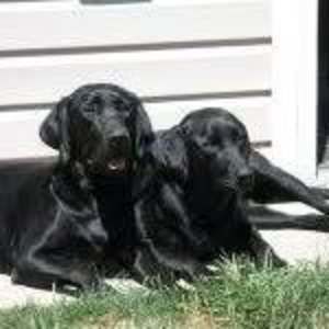 Meet your Posher, Doreen